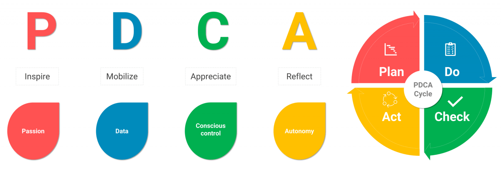 PDCA bao gồm 4 thành phần cũng chính là 4 bước cốt lõi áp dụng để quản lý các hoạt động doanh nghiệp