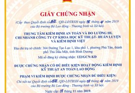 Kiểm Định Máy Đào Máy Xúc Bình Dương