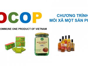 Tiêu chuẩn OCOP là gì? Lợi ích khi tham gia chương trình OCOP