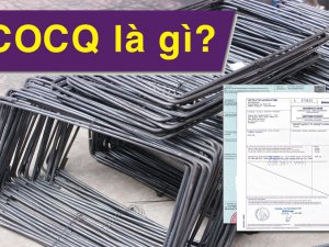 CO CQ Là Gì? Hướng Dẫn Cách Kiểm Tra CO CQ Nhanh Nhất